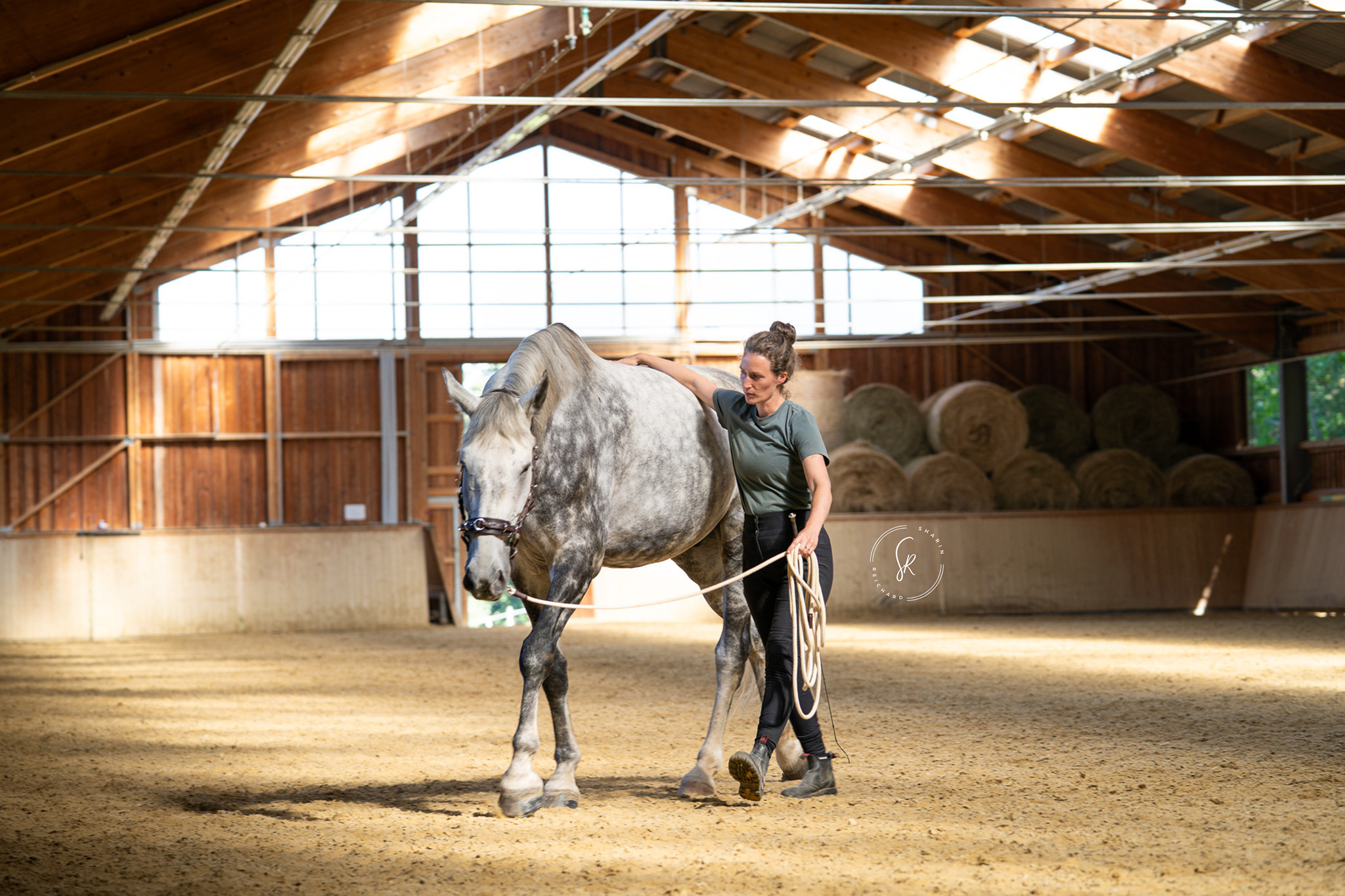 Postural Plasticity Gesunde funktionale Bewegung verstehen und trainieren
